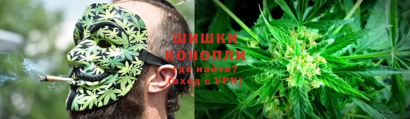 Конопля Ganja  Беломорск 